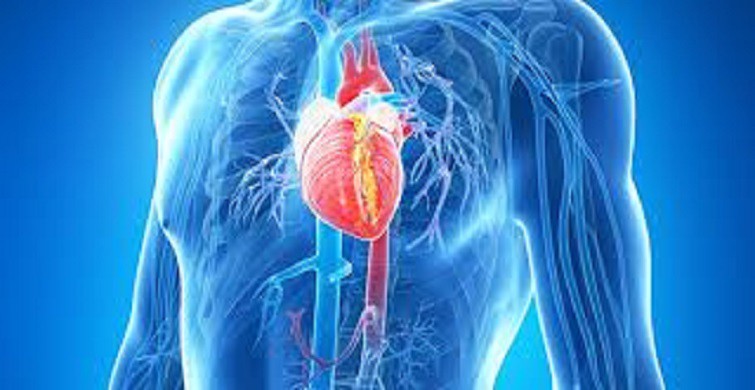 Kalp damar cerrahisi hastalığı aort anevrizması nedir, nasıl teşhis edilir?