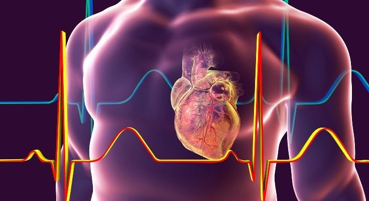 Kalp Damar Cerrahisinde Aort Yetersizliği Nedir?